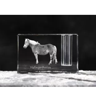 Haflinger Fohlen - Stifthalter, Kristallorganisator mit Bild eines Pferdes, einzigartige Schreibtischdekoration der Marke Art-Dog