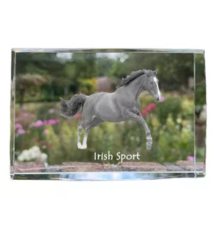 Cheval de sport irlandais - cristal avec une photo de cheval, photo sous verre, exposition moderne de la marque de photos Art-Dog