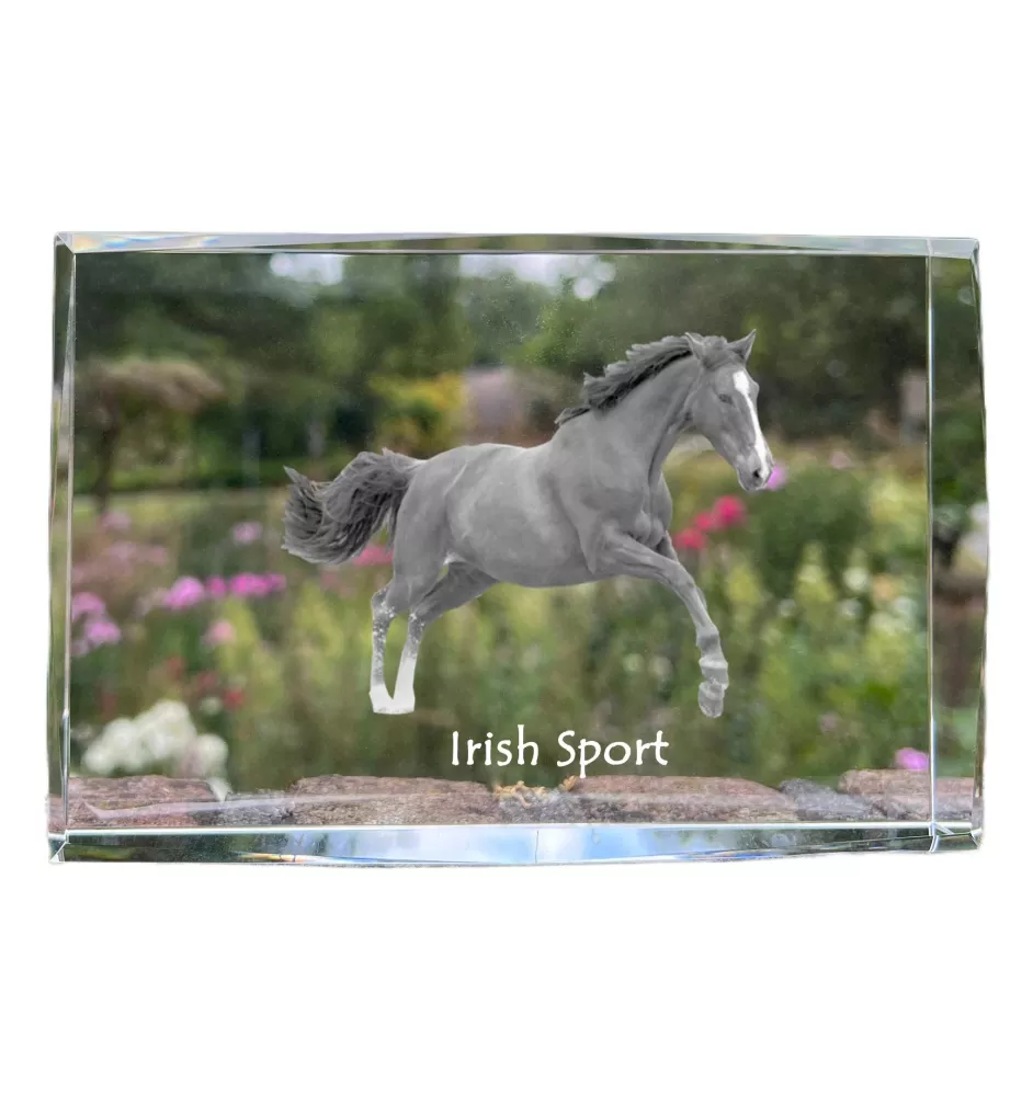 Irish Sport - crystal with a picture of a horse, photo in glass, modern exhibition of Art-Dog brand photo