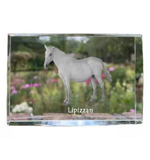 Lipicański kryształ z koniem Art-Dog