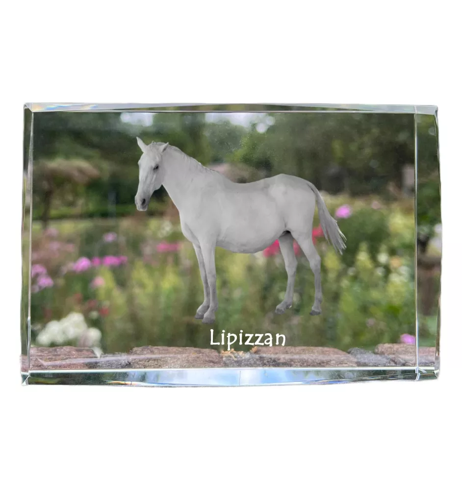 Lipicański kryształ z koniem Art-Dog