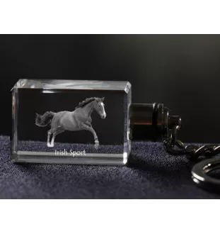 Irish Sport - Crystal pendant with photo of a horse, illuminated pendant, unique gift by Art-Dog brand