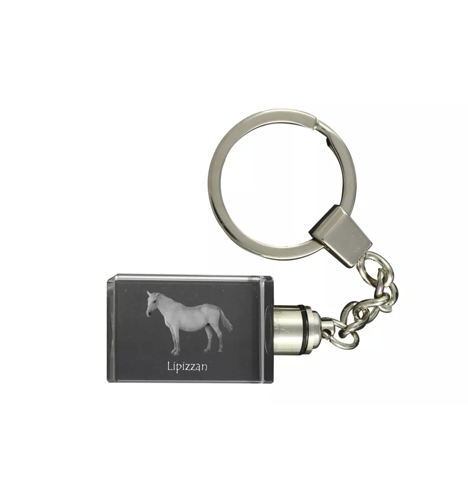 Lipizzaner - Kristall-Anhänger mit Foto eines Pferdes, beleuchteter Anhänger, einzigartiges Geschenk der Marke Art-Dog