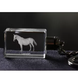 Lipizzan - Crystal pendant with photo of a horse, illuminated pendant, unique gift by Art-Dog brand