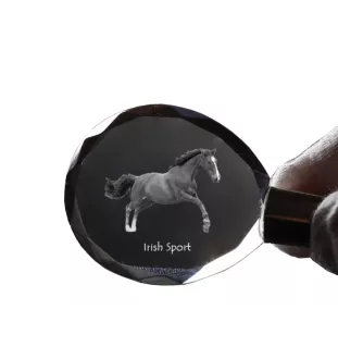 Irish Sport - pendant with a picture of a horse, crystal key ring in a gift box, unique gift by Art-Dog brand