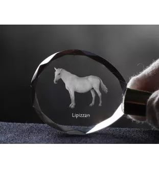 Lipizzan - pendant with a picture of a horse, crystal key ring in a gift box, unique gift by Art-Dog brand