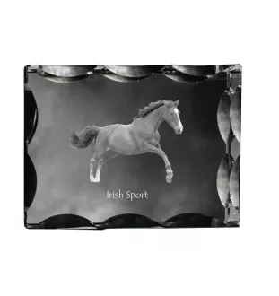 Irischer Sport - crystal with a picture of a horse, glass statuette with a picture, unique frame with a picture from Art-Dog brand