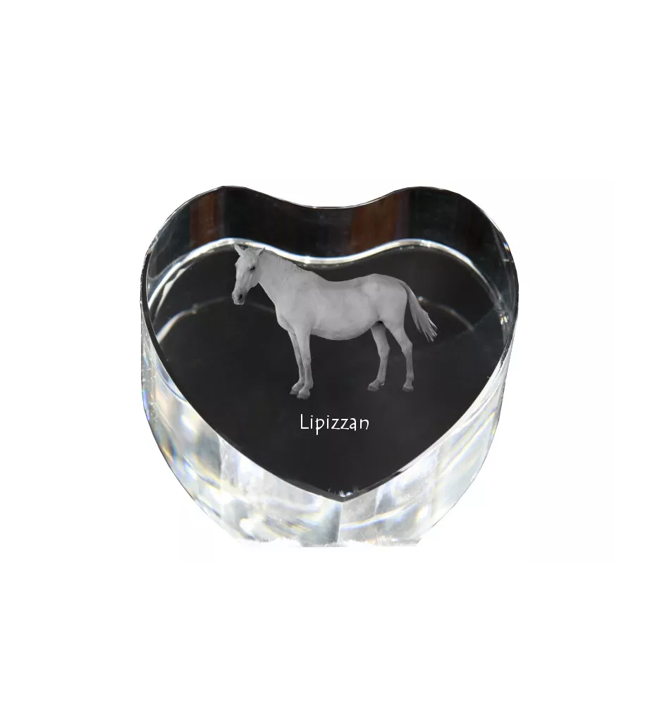 Lipizzan - a photo of a horse in crystal, a crystal heart, a unique frame with a photo from the Art-Dog brand