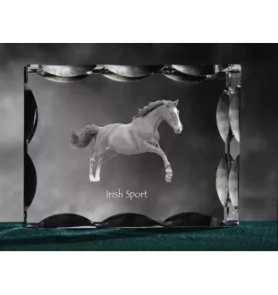 Cheval de sport irlandais - Kristall mit einem Pferdebild, Glasstatuette mit einem Bild, einzigartiger Bilderrahmen der Marke Art-Dog