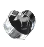 Lipizzan - a photo of a horse in crystal, a crystal heart, a unique frame with a photo from the Art-Dog brand
