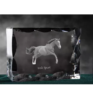Irischer Sport - crystal with a picture of a horse, glass statuette with a picture, unique frame with a picture from Art-Dog brand
