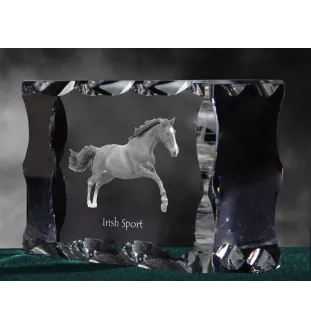 Irischer Sport - crystal with a picture of a horse, glass statuette with a picture, unique frame with a picture from Art-Dog brand