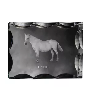 Lipizzaner - crystal with a picture of a horse, glass statuette with a picture, unique frame with a picture from Art-Dog brand