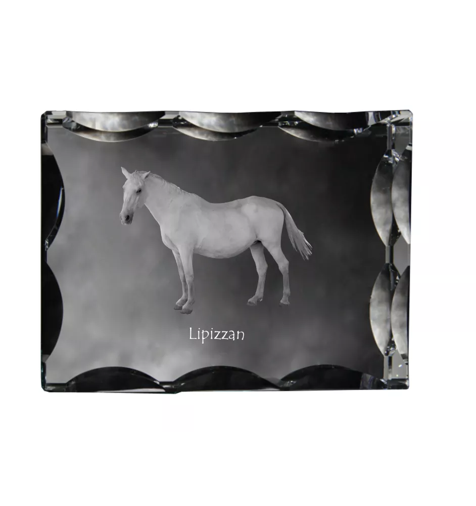 Lipizzan - Kristall mit einem Pferdebild, Glasstatuette mit einem Bild, einzigartiger Bilderrahmen der Marke Art-Dog