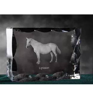 Lipizzaner - crystal with a picture of a horse, glass statuette with a picture, unique frame with a picture from Art-Dog brand