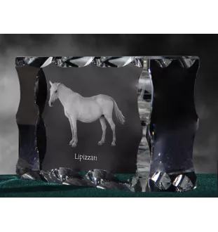 Lipizzan - Kristall mit einem Pferdebild, Glasstatuette mit einem Bild, einzigartiger Bilderrahmen der Marke Art-Dog