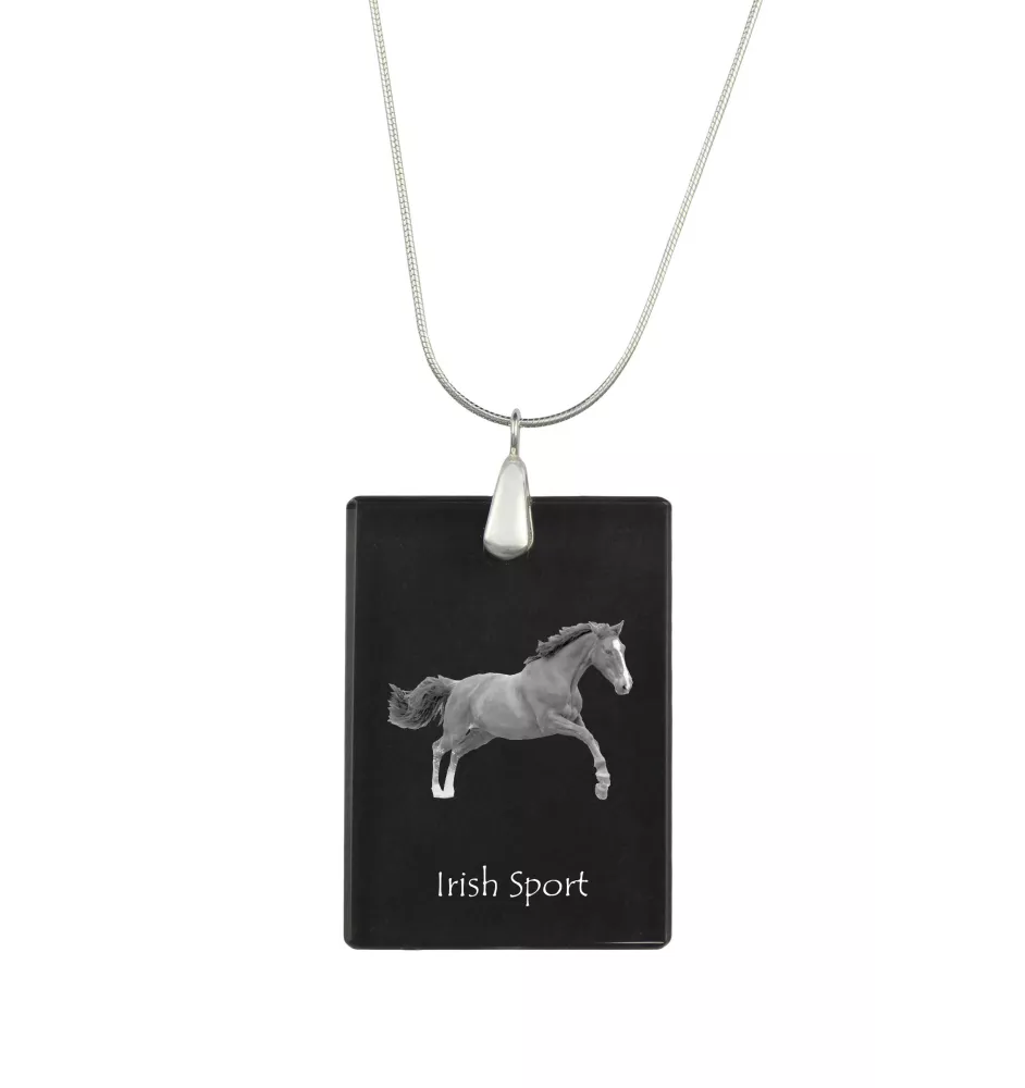 Irischer Sport - Crystal pendant with horse, silver necklace with photo, personalised pendant by Art-Dog brand