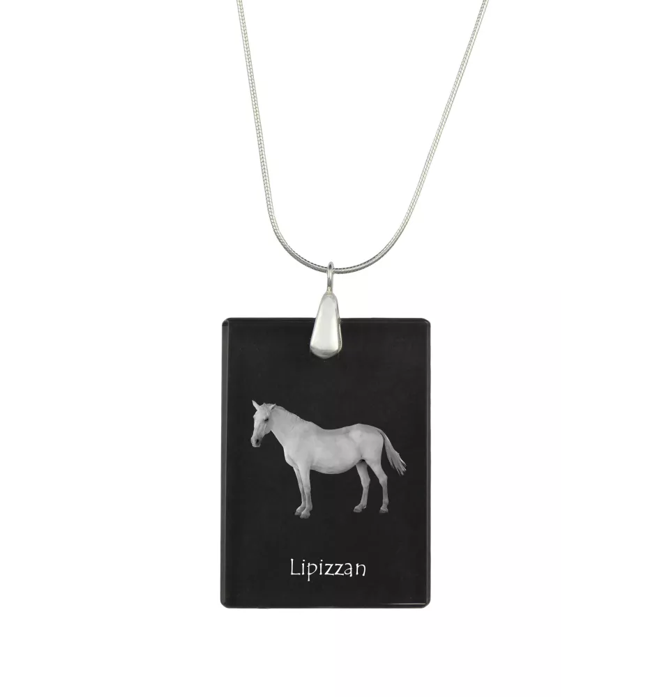 Lipizzaner - Crystal pendant with horse, silver necklace with photo, personalised pendant by Art-Dog brand