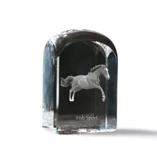 Cheval de sport irlandais - un cube de cristal avec une photo, une photo de cheval dans le cristal, un presse-papiers cubique de la marque Art-Dog