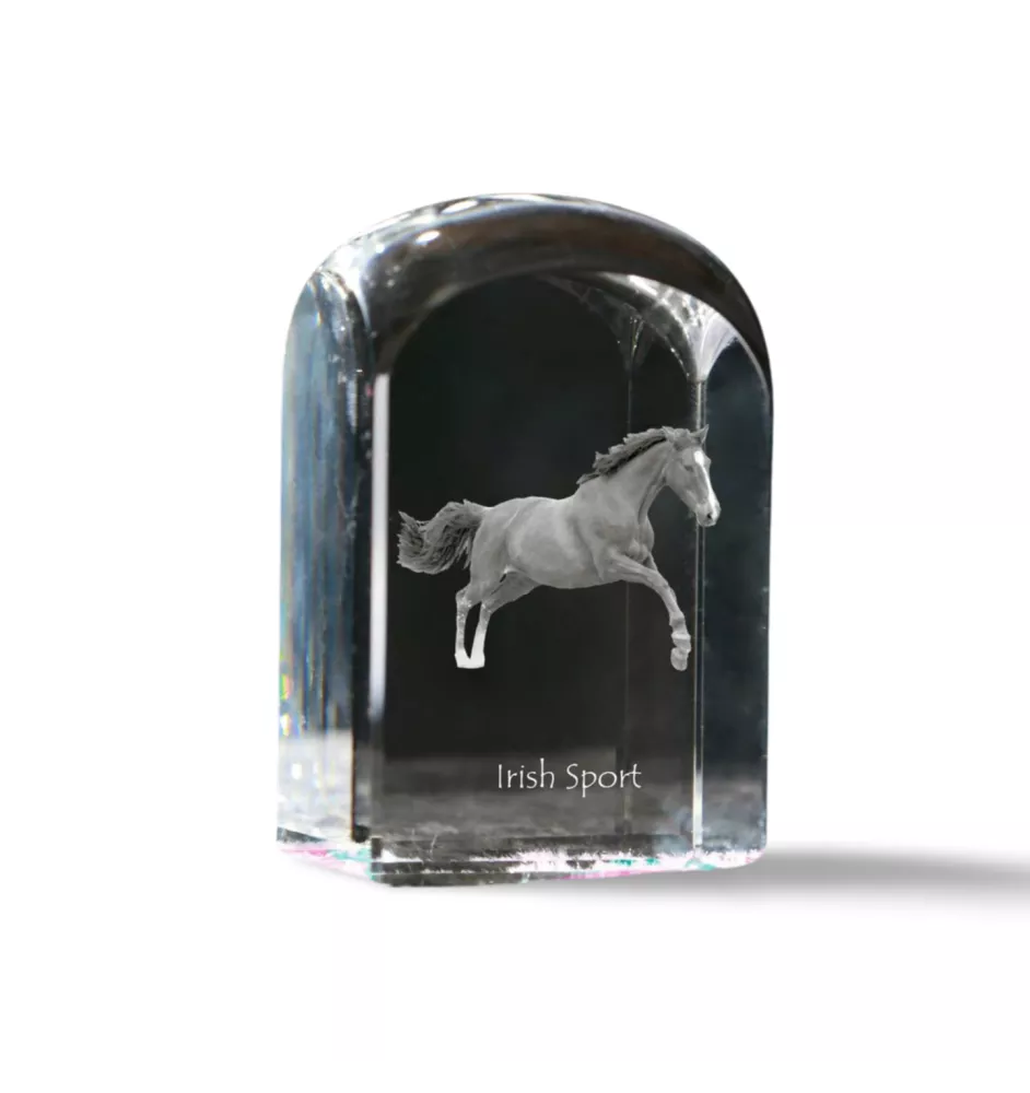 Irish Sport - crystal cube with a photo, photo of a horse in crystal, cubic paperweight from Art-Dog brand