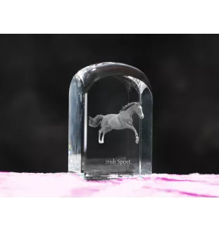 Cheval de sport irlandais - un cube de cristal avec une photo, une photo de cheval dans le cristal, un presse-papiers cubique de la marque Art-Dog