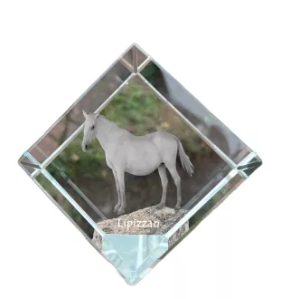 Lipizzaner - Kristallwürfel mit Pferdebild, Pferdebild im Kristall, sechseckiger Papierclip der Marke Art-Dog