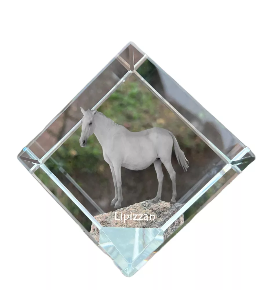 Lipizzaner - Kristallwürfel mit Pferdebild, Pferdebild im Kristall, sechseckiger Papierclip der Marke Art-Dog
