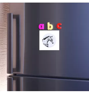 Irischer Sport - Magnet mit Pferd, ein einzigartiges Abdruck des Pferdes der Marke Art-Dog