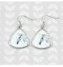 Lipizzan - boucles d'oreilles avec un cheval, boucles d'oreilles pendantes avec une image, bijoux personnalisés avec l'impression de la marque Art-Dog