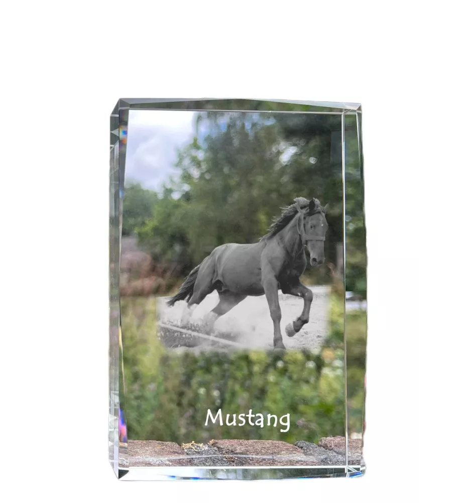 Mustang - cristal avec une photo de cheval, photo sous verre, exposition moderne de la marque de photos Art-Dog