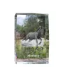 Mustang - cristal avec une photo de cheval, photo sous verre, exposition moderne de la marque de photos Art-Dog