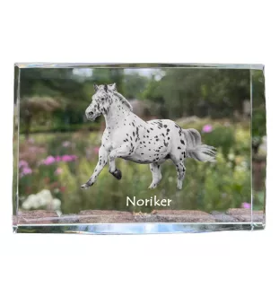 Noriker - Kristall mit einem Pferdebild, Bild im Glas, moderne Ausstellung des Art-Dog-Bildes.