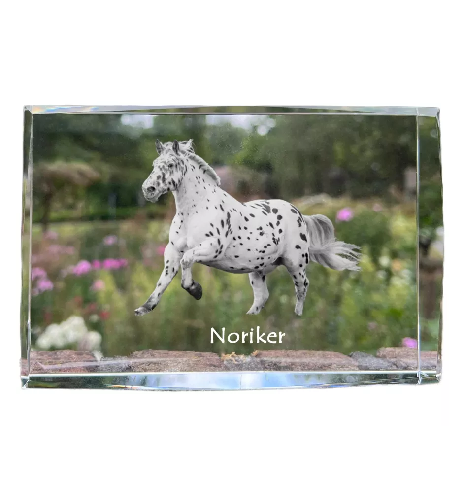 Noriker - Kristall mit einem Pferdebild, Bild im Glas, moderne Ausstellung des Art-Dog-Bildes.