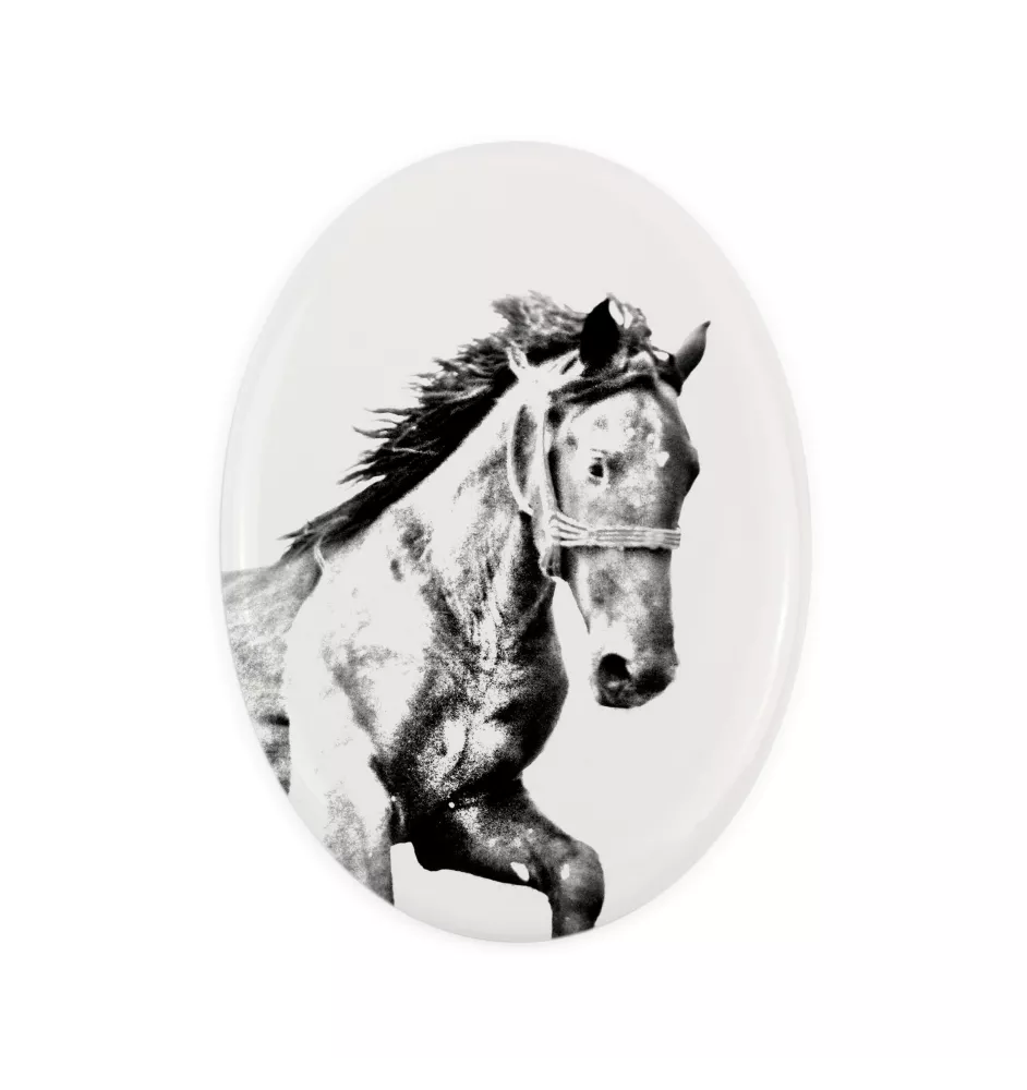 Mustang - Gedenktafel mit einem Pferdefoto, Grabplatte mit Druck, personalisierte ovale Platte von Art-Dog.