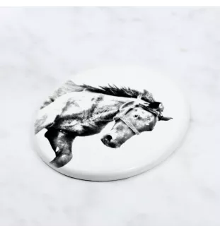 Mustang - Gedenktafel mit einem Pferdefoto, Grabplatte mit Druck, personalisierte ovale Platte von Art-Dog.