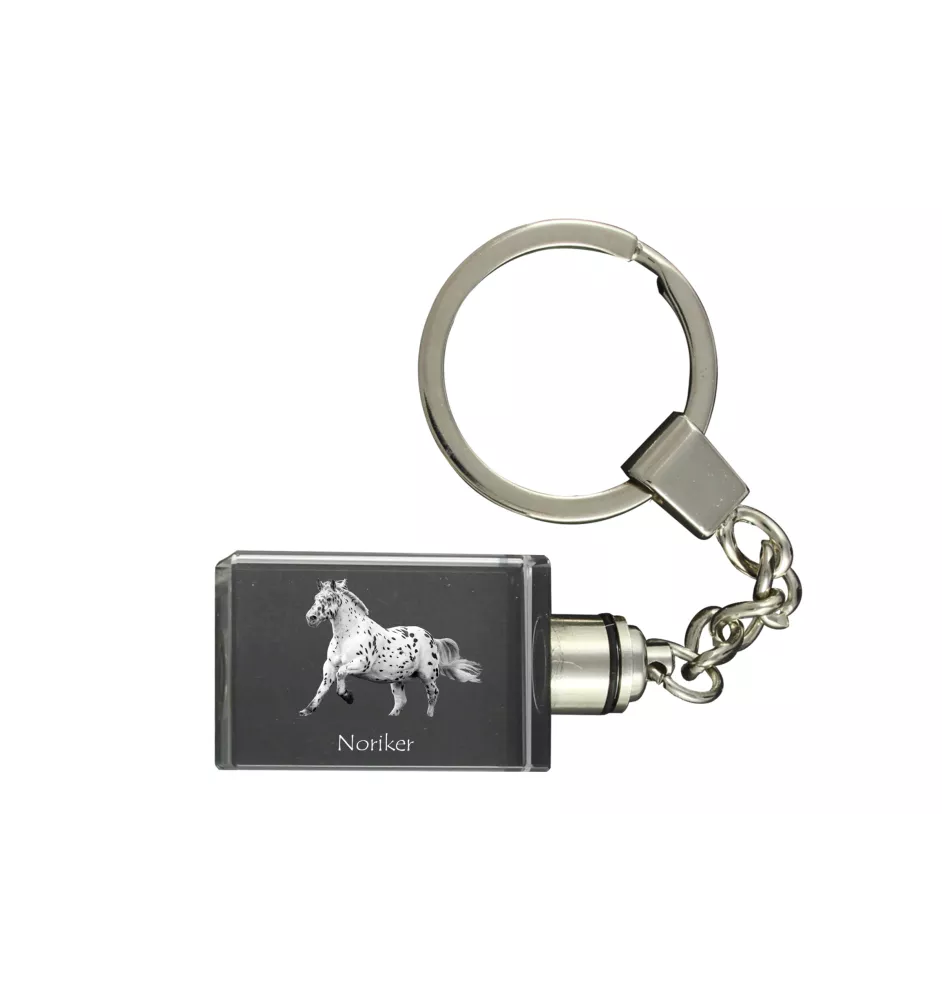Noriker - Kristall-Anhänger mit Foto eines Pferdes, beleuchteter Anhänger, einzigartiges Geschenk der Marke Art-Dog