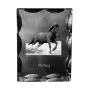 Mustang - Kristall mit einem Pferdebild, Glasstatuette mit einem Bild, einzigartiger Bilderrahmen der Marke Art-Dog