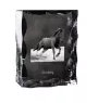 Mustang - crystal with a picture of a horse, glass statuette with a picture, unique frame with a picture from Art-Dog brand