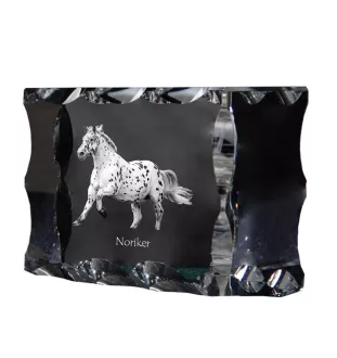 Noriker - crystal with a picture of a horse, glass statuette with a picture, unique frame with a picture from Art-Dog brand