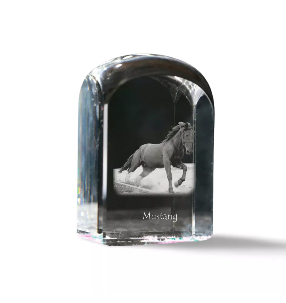 Mustang - Kristallwürfel mit Bild, Pferdebild im Kristall, sechseckiger Papierclip der Marke Art-Dog