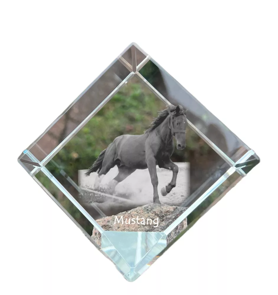 Mustang - un cube de cristal avec une photo de cheval, une photo de cheval dans le cristal, un presse-papiers cubique de la marque Art-Dog