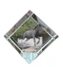Mustang - un cube de cristal avec une photo de cheval, une photo de cheval dans le cristal, un presse-papiers cubique de la marque Art-Dog