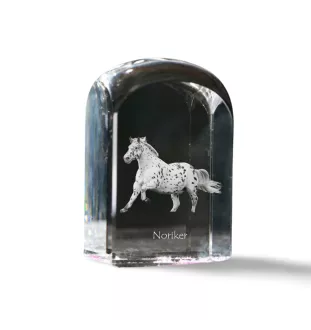 Noriker - crystal cube with a photo, photo of a horse in crystal, cubic paperweight from Art-Dog brand