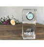 Mustang - crystal clock with a photo, photo of a horse in crystal, personalized desk clock by Art-Dog brand
