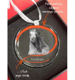 Noriker - Kristallkugel mit einem Foto, Pferdefoto im Kristall, personalisierter Weihnachtsbaumanhänger von der Marke Art-Dog