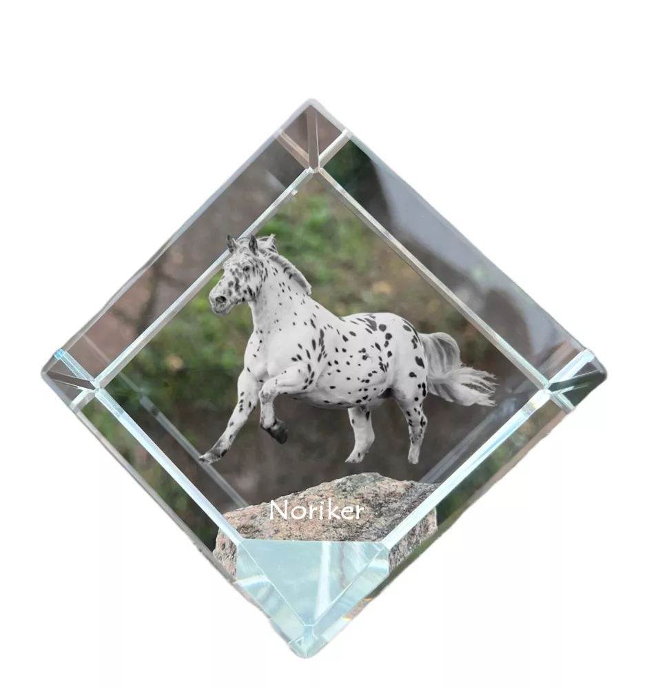 Noriker - un cube de cristal avec une photo de cheval, une photo de cheval dans le cristal, un presse-papiers cubique de la marque Art-Dog