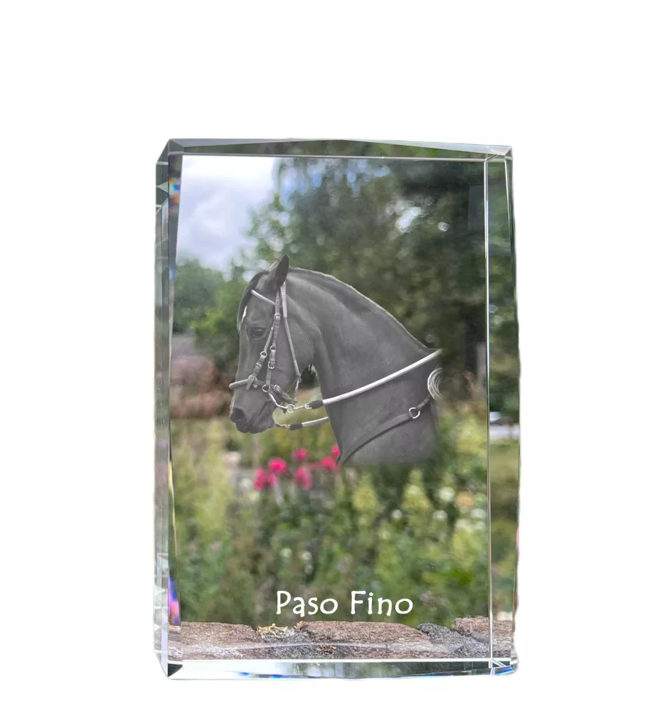 Paso Fino - crystal with a picture of a horse, photo in glass, modern exhibition of Art-Dog brand photo