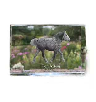 Percheron - Kristall mit einem Pferdebild, Bild im Glas, moderne Ausstellung des Art-Dog-Bildes.