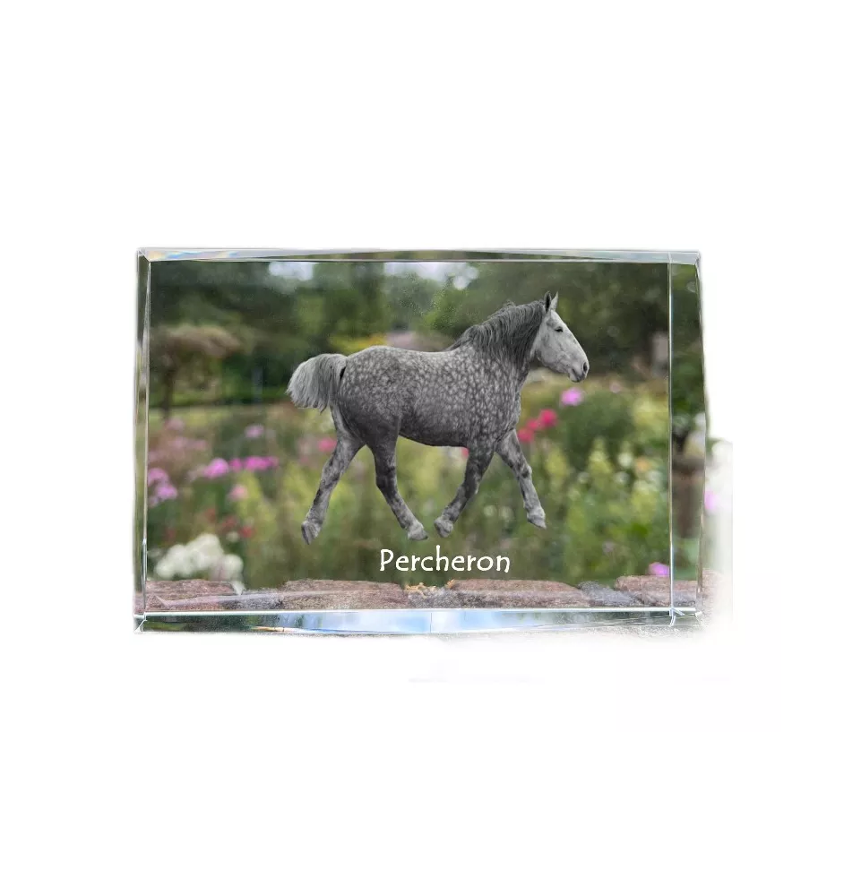 Perszeron kryształ z koniem Art-Dog