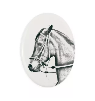 Paso Fino - Gedenktafel mit einem Pferdefoto, Grabplatte mit Druck, personalisierte ovale Platte von Art-Dog.